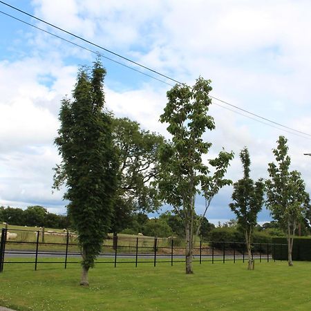 Contemporary Countryside Home Dromore  Eksteriør billede